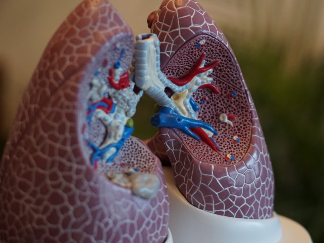 Přečtete si více ze článku Obstrukční versus restriktivní onemocnění plic